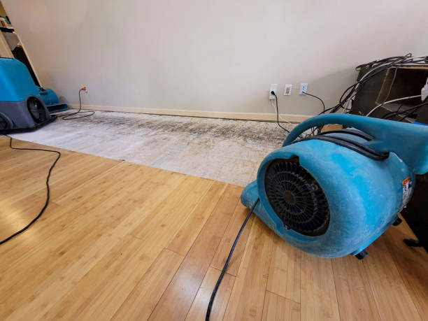 Professional Water Damage Repair technician working in Lakeview, MI