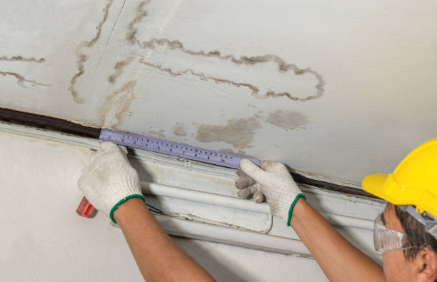 Affordable Water Damage Repair solutions in Lakeview, MI